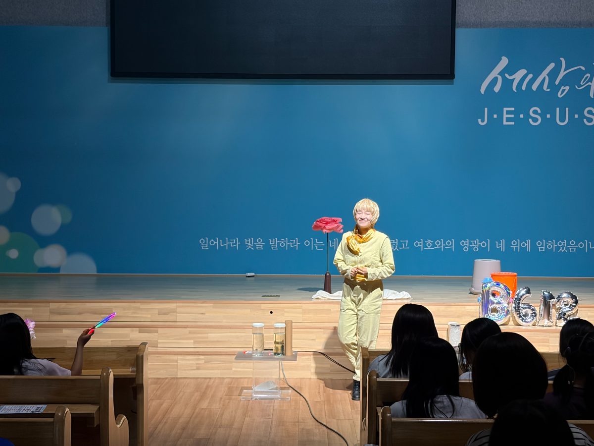 동키데이 사진 6
